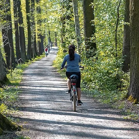 Modernes Nahe Spreewald-idylle