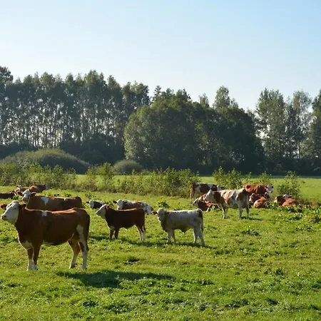 Apartment Modernes Nahe Spreewald-idylle *
