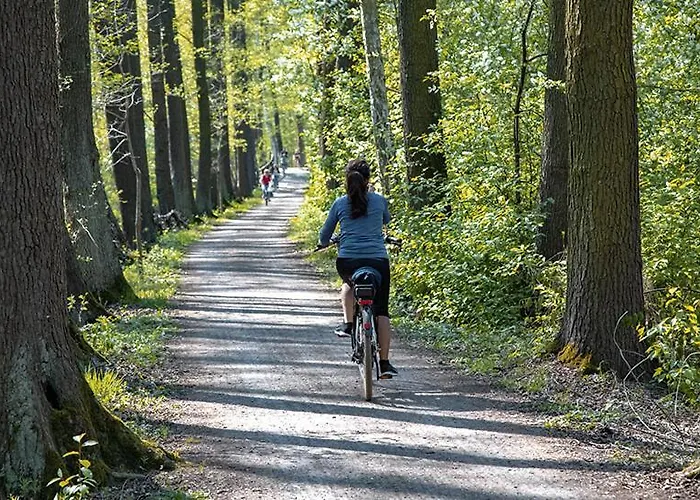 Modernes Nahe Spreewald-idylle