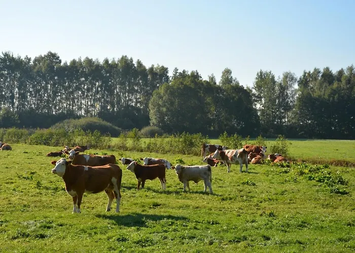 Lägenhet Modernes Nahe Spreewald-idylle *
